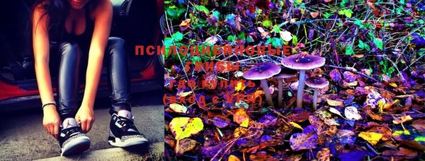 MESCALINE Белая Холуница