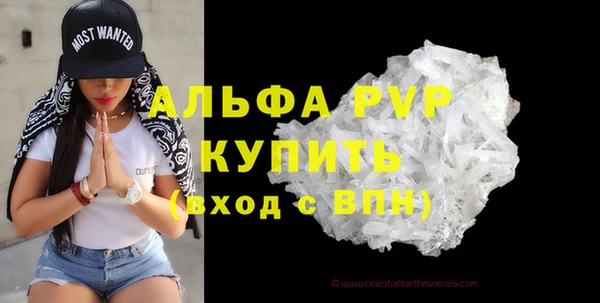 крисы Новодвинск