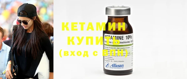 крисы Новодвинск