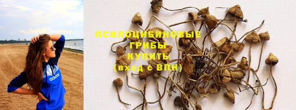 MESCALINE Белая Холуница