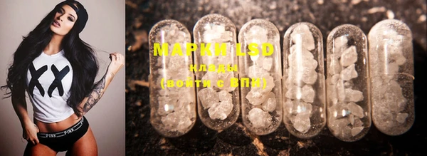 MESCALINE Белая Холуница